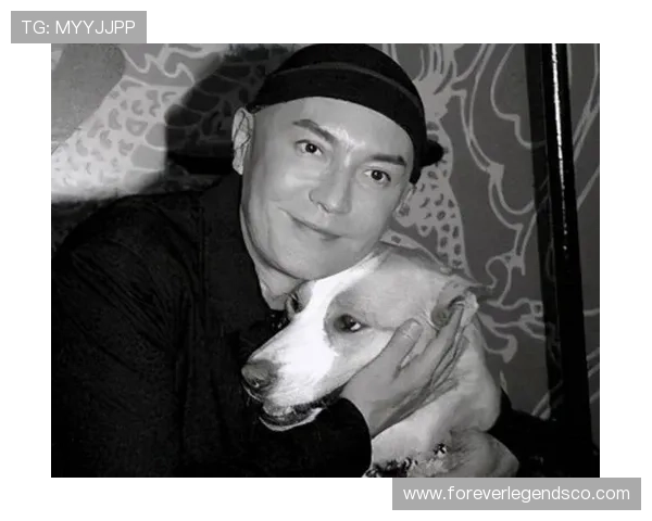 尊龙百家乐人生就是博：从新手到高手的全面实战经验分享